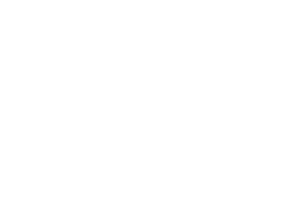 Flash logo.